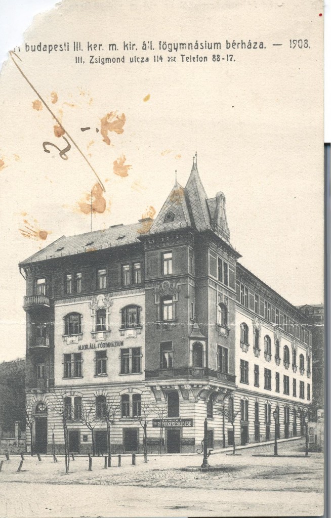 Zsigmond teri